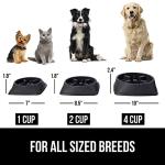 BPA Free Slow Feeder Dog Bowl - 4 Cup