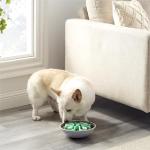 Outward Hound Wobble Slow Feeder Dog Bowl