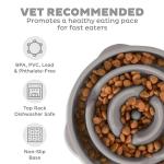 Outward Hound Slo Bowl for Large Dogs