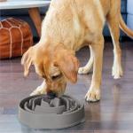 Outward Hound Slo Bowl for Large Dogs