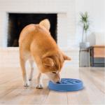 Outward Hound Slow Feeder Bowl for Dogs