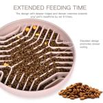 Puzzle Slow Feeder Bowl for Small Dogs & Cats