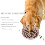 Puzzle Slow Feeder Bowl for Small Dogs & Cats