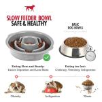 Tuff Pupper Slow Feeder Puzzle Bowl for Dogs