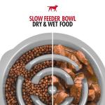 Tuff Pupper Slow Feeder Puzzle Bowl for Dogs