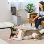 IRIS USA Airtight Dog Food Storage Bin