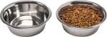 Elevated Dog Bowl Set with Airtight Storage