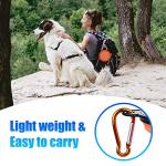 Collapsible Dog Bowls Set with Carabiners – 2 Pack