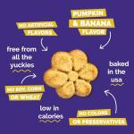 Fruitables Pumpkin & Banana Baked Dog Treats