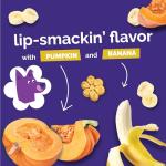 Fruitables Pumpkin & Banana Baked Dog Treats