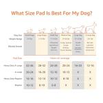 Amazon Basics Carbon Odor-Control Pee Pads for Dogs