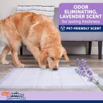 Hartz Odor-Eliminating Lavender Dog Pads, 100 Count