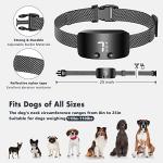 Rechargeable Anti-Bark Collar with Adjustable Sensitivity
