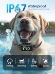 DINJOO Rechargeable Smart Bark Collar for Dogs