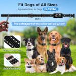 2 Pack Rechargeable Bark Collars for Dogs