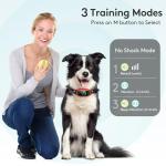 Rechargeable Bark Collar for All Dog Sizes