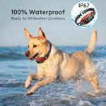 Rechargeable Bark Collar for All Dog Sizes