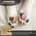 Anti-Slip Dog Socks for Paw Protection