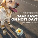 Anti-Slip Dog Socks for Paw Protection