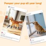 Non-Slip Gripper Socks for Senior Dogs - Grey