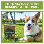 Pogi’s Extra-Thick Dog Poop Bags with Handles