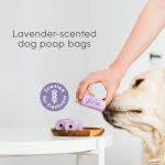 Scented Dog Poop Bags - Lavender, Extra Strong