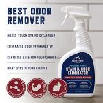 Rocco & Roxie Odor Eliminator Enzyme Cleaner, 32 Oz