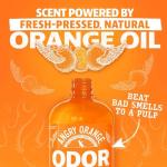ANGRY ORANGE Pet Odor Eliminator - 24 oz