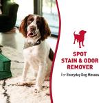 Nature's Miracle Dog Stain and Odor Remover