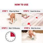 Nature's Miracle Dog Stain and Odor Remover