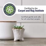 Rocco & Roxie Stain and Odor Eliminator Bundle