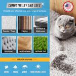 Pet Odor and Stain Eliminator Spray - 32 oz