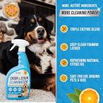 Pet Odor and Stain Eliminator Spray - 32 oz