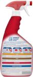 Pet Odor & Stain Remover Spray for Dogs