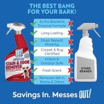 Pet Odor & Stain Remover Spray for Dogs