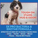 Pet Odor & Stain Remover Spray for Dogs