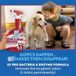 Pet Odor & Stain Remover Spray for Dogs