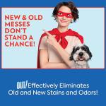 Pet Odor & Stain Remover Spray for Dogs