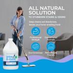 Enzyme Odor Eliminator & Pet Stain Remover