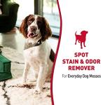 Nature's Miracle 32 oz Dog Stain & Odor Remover