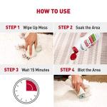 Nature's Miracle 32 oz Dog Stain & Odor Remover