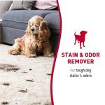 Nature's Miracle Foaming Stain & Odor Remover for Dogs