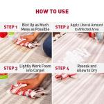 Nature's Miracle Foaming Stain & Odor Remover for Dogs