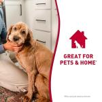 Nature's Miracle Foaming Stain & Odor Remover for Dogs