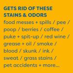 Non-Toxic Instant Stain & Odor Remover for Pets