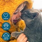 Non-Toxic Instant Stain & Odor Remover for Pets