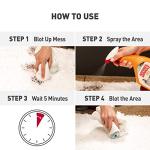 Nature's Miracle Oxy Stain and Odor Remover 24oz