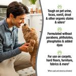 Nature's Miracle Pet Stain and Odor Remover