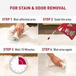 Nature’s Miracle Stain & Odor Eliminator Spray