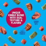 Kibbles 'n Bits Bistro Oven Roasted Dry Dog Food